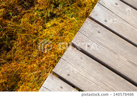 Wooden boardwalk through swamp covered with moss. Eco trail path in peatland area. Nature hiking way for trekking through forest wetland and marsh landscape. Sustainable travel environment. Wooden boardwalk through swamp covered with moss. Eco trail path in peatland area. Nature hiking way for trekking through forest wetland and marsh landscape. Sustainable travel environment. 140578486