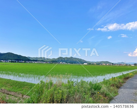 A refreshing, quintessential Japanese landscape of rice paddies and mountain ranges in early summer, under a clear blue sky. A refreshing, quintessential Japanese landscape of rice paddies and mountain ranges in early summer, under a clear blue sky. 140578636