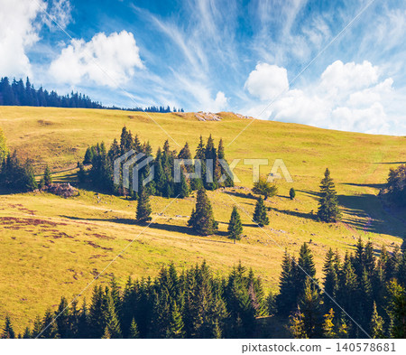 hillside of mountain range with coniferous forest and meadow. wonderful view of a grassy meadow on steep hill. nature background of apuseni natural park, romania. scenic green environment hillside of mountain range with coniferous forest and meadow. wonderful view of a grassy meadow on steep hill. nature background of apuseni natural park, romania. scenic green environment 140578681