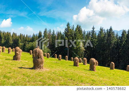 rural landscape with coniferous forest on a green hill. spruce trees on grassy meadow in tatra mountains. summer vacation in poland rural landscape with coniferous forest on a green hill. spruce trees on grassy meadow in tatra mountains. summer vacation in poland 140578682