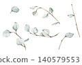 Delicate set watercolor eucalyptus branches and leaves collection, soft sage green botanical elements isolated on white background for wedding invitations and rustic floral designs, packaging 140579553