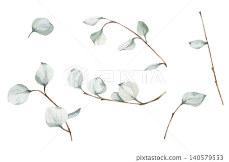 Delicate set watercolor eucalyptus branches and leaves collection, soft sage green botanical elements isolated on white background for wedding invitations and rustic floral designs, packaging 140579553