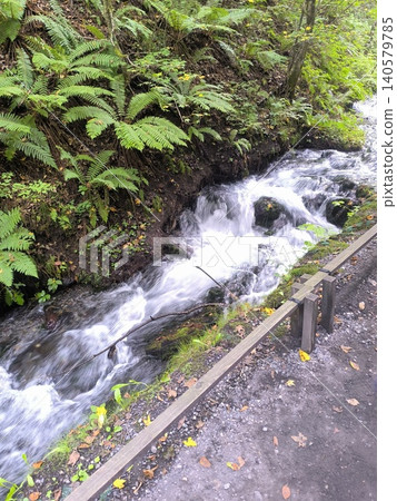 The clear stream and lush green scenery of Shiraito Falls in Karuizawa The clear stream and lush green scenery of Shiraito Falls in Karuizawa 140579785