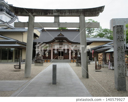 龍城神社的鳥居和參拜殿!愛知縣岡崎市 龍城神社的鳥居和參拜殿!愛知縣岡崎市 140579927