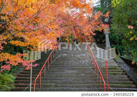 A view of the approach to Rokuden Shrine (Kumamoto City) A view of the approach to Rokuden Shrine (Kumamoto City) 140580229