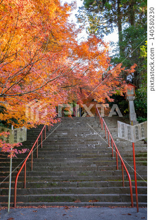 A view of the approach to Rokuden Shrine (Kumamoto City) A view of the approach to Rokuden Shrine (Kumamoto City) 140580230