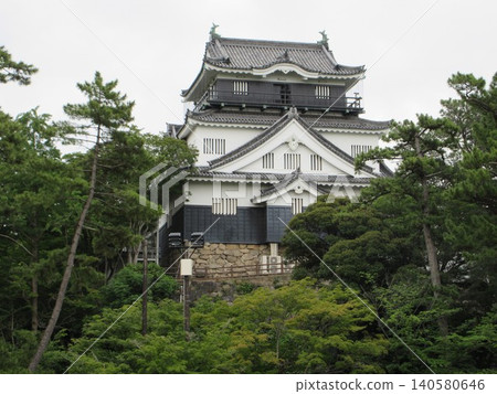 Okazaki Castle visible through the trees! Okazaki City, Aichi Prefecture Okazaki Castle visible through the trees! Okazaki City, Aichi Prefecture 140580646