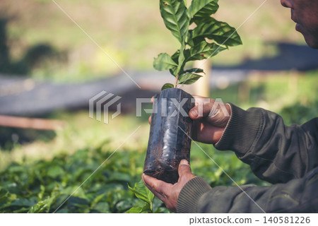 Smart farmer checking plant in eco green farm sustainable quality control. Close up Hand check quality control plant tree. Farmer cultivated planting in eco Farmland biotechnology. Green agriculture Smart farmer checking plant in eco green farm sustainable quality control. Close up Hand check quality control plant tree. Farmer cultivated planting in eco Farmland biotechnology. Green agriculture 140581226