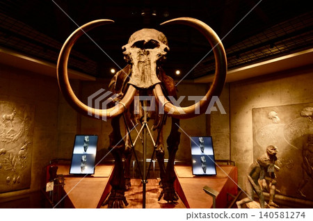 Mammoth skeleton (reconstruction) (Iwajuku Museum / Midori City, Gunma Prefecture) Mammoth skeleton (reconstruction) (Iwajuku Museum / Midori City, Gunma Prefecture) 140581274