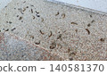 Pest control 140581370