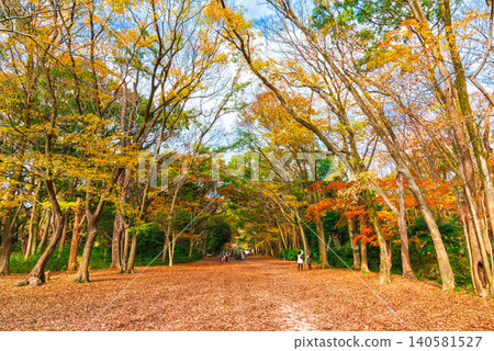 Autumn in Shimogamo Shrine Autumn in Shimogamo Shrine 140581527