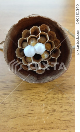 Hornet larva Hornet larva 140581540