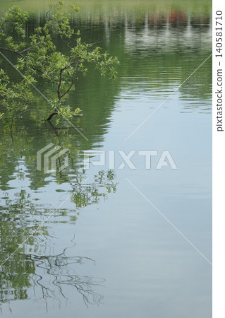 蜻蜓池塘公園的池塘 蜻蜓池塘公園的池塘 140581710