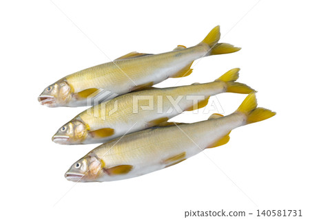 透明背景的香魚（png） 140581731