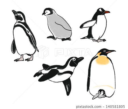 一組5幅手繪風格的企鵝插圖。 一組5幅手繪風格的企鵝插圖。 140581805