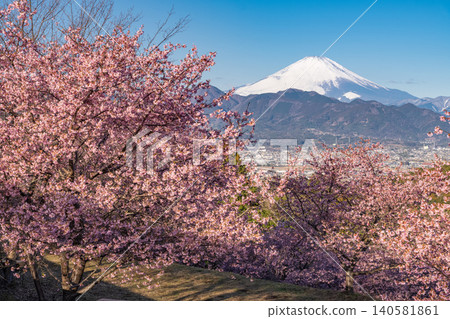 Kawazu cherry blossoms at Oi Yume no Sato and Mount Fuji at dawn 140581861
