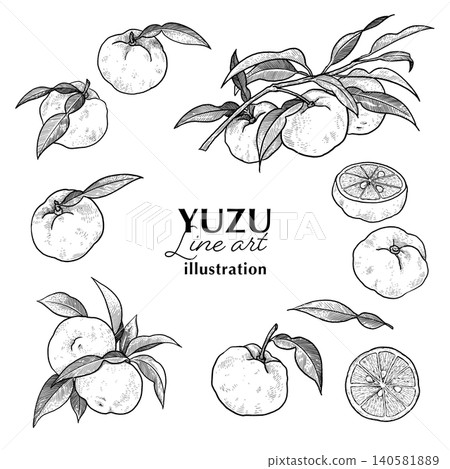 柚子手繪線稿插畫集 柚子手繪線稿插畫集 140581889