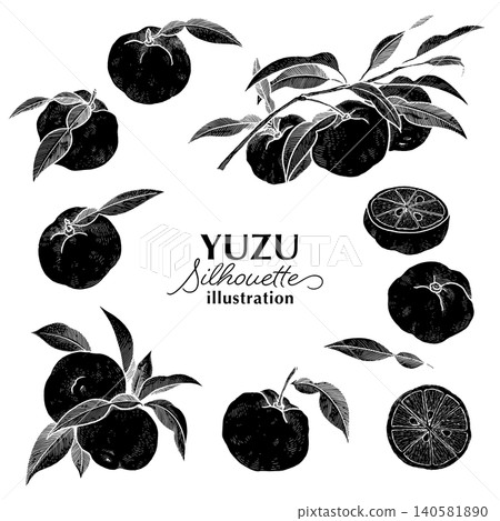 Yuzu silhouette hand-drawn illustration set Yuzu silhouette hand-drawn illustration set 140581890