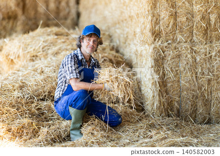 Middle-aged male farmer checking straw quality 140582003