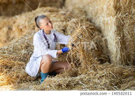 Young female vet inspect straw in storage Young female vet inspect straw in storage 140582011