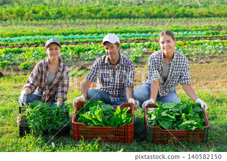 Male and women workers standing on plantation after completing field work with boxes of greenery Male and women workers standing on plantation after completing field work with boxes of greenery 140582150