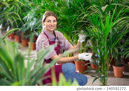 Adult woman seller with areca pot in plant store Adult woman seller with areca pot in plant store 140582272