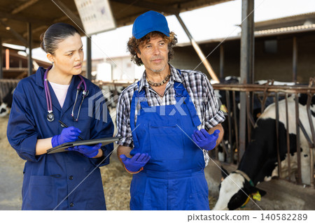 man communicates with a woman veterinarian in a cowshed man communicates with a woman veterinarian in a cowshed 140582289