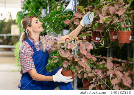 Female flower shop worker with flowers singonuim red Female flower shop worker with flowers singonuim red 140582528