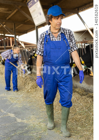 Middle-aged male farmer standing and looking at caws 140582619