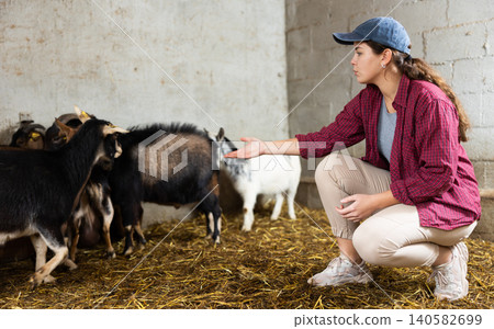 european female farm worker feeding goats european female farm worker feeding goats 140582699