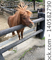 Surprised horse 140582790