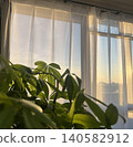 The soft light of houseplants relaxing by the window at dusk. 140582912