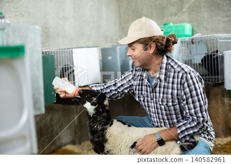 Middle aged male farmer feeding baby sheep 140582961