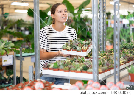 Smiling young woman choosing ornamental potted succulents in greenhouse 140583054