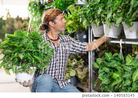Adult man holding pot of syngonium in plant store Adult man holding pot of syngonium in plant store 140583145