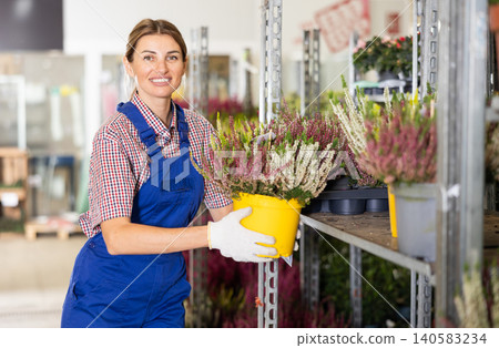 Smiling female florist arranging pots with blooming heather Smiling female florist arranging pots with blooming heather 140583234
