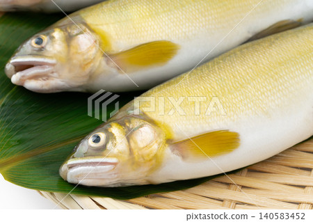 特寫鏡頭：香魚被放置在竹籃中 140583452