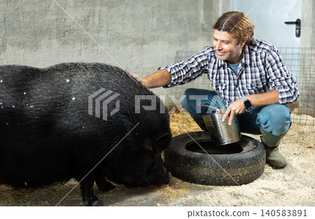 Farmer taking care of a pig Farmer taking care of a pig 140583891