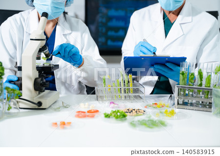 Scientists conducting biotechnology laboratory research with plant and food samples. Medical innovation, healthcare testing, pharmaceutical Scientists conducting biotechnology laboratory research with plant and food samples. Medical innovation, healthcare testing, pharmaceutical 140583915