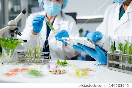 Scientists conducting plant biotechnology research in laboratory using digital tablet for data analysis. Food testing, agricultural innovation Scientists conducting plant biotechnology research in laboratory using digital tablet for data analysis. Food testing, agricultural innovation 140583945