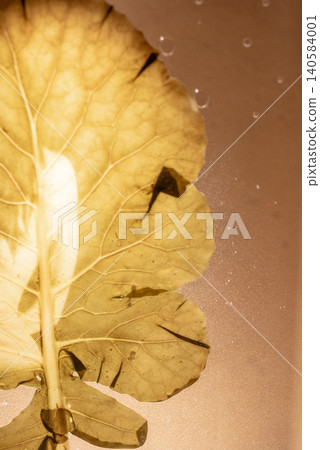 Image of blurred textures, pressed flowers, leaves, and fresh plants floating on water. Image of blurred textures, pressed flowers, leaves, and fresh plants floating on water. 140584001