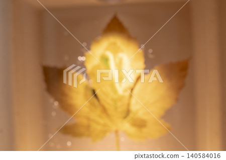 模糊的紋理、壓花、樹葉和新鮮植物漂浮在水面上。 模糊的紋理、壓花、樹葉和新鮮植物漂浮在水面上。 140584016