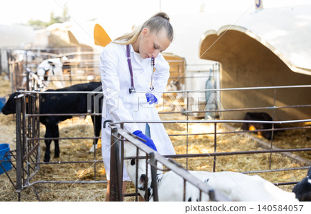 Girl veterinarian with stethoscope examines calf 140584057