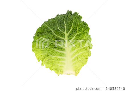 Close-up of a fresh cabbage leaf texture, isolated, PNG Close-up of a fresh cabbage leaf texture, isolated, PNG 140584340
