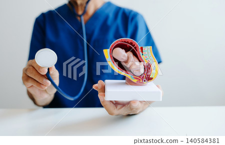 Doctor presenting a pregnancy anatomy model with fetus for prenatal education, maternity care, and obstetrics learning. Doctor presenting a pregnancy anatomy model with fetus for prenatal education, maternity care, and obstetrics learning. 140584381