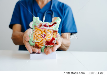 Doctor presenting a digestive system anatomy model for medical education, healthcare learning, and anatomy study. Doctor presenting a digestive system anatomy model for medical education, healthcare learning, and anatomy study. 140584383