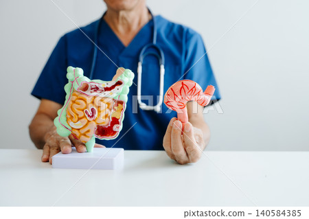 Doctor demonstrating a stomach anatomy model for digestive system education, healthcare learning, and medical concepts. Doctor demonstrating a stomach anatomy model for digestive system education, healthcare learning, and medical concepts. 140584385