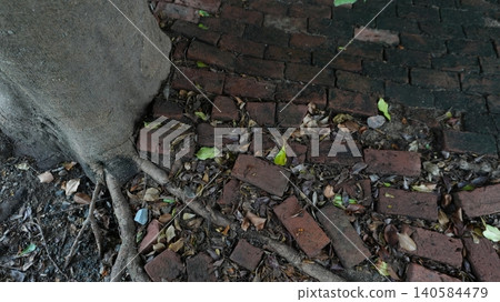 Old Brick Pavement with Tree Roots and Dry Fallen Leaves Old Brick Pavement with Tree Roots and Dry Fallen Leaves 140584479