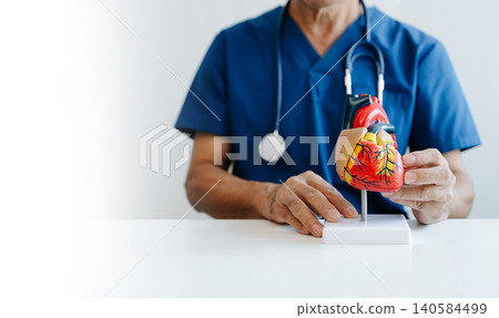 Doctor holding a human heart anatomy model for cardiology education, medical learning, and healthcare concepts Doctor holding a human heart anatomy model for cardiology education, medical learning, and healthcare concepts 140584499