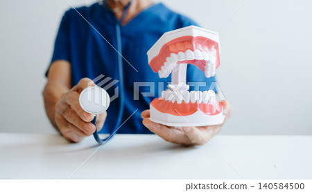 Professional dentist demonstrating a dental model for oral care, hygiene, and anatomy training. Professional dentist demonstrating a dental model for oral care, hygiene, and anatomy training. 140584500